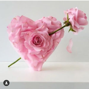 Meet your Posher, Radmanesh1190